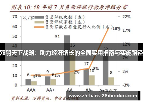 双羽天下战略：助力经济增长的全面实用指南与实施路径