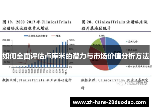 如何全面评估卢库米的潜力与市场价值分析方法