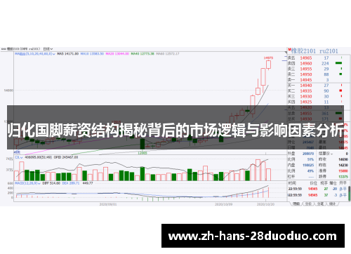 归化国脚薪资结构揭秘背后的市场逻辑与影响因素分析