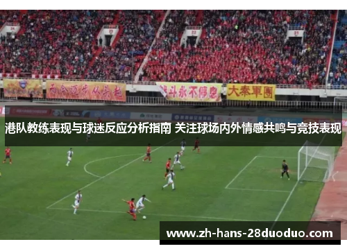 港队教练表现与球迷反应分析指南 关注球场内外情感共鸣与竞技表现