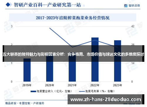 五大联赛的独特魅力与影响因素分析：竞争格局、市场价值与球迷文化的多维度探讨