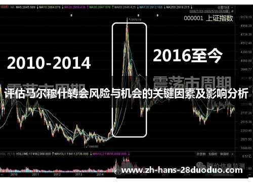 评估马尔穆什转会风险与机会的关键因素及影响分析 评估马尔穆什转会风险与机会的关键因素及影响分析