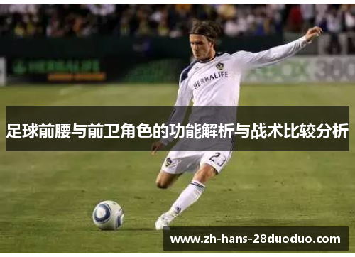 足球前腰与前卫角色的功能解析与战术比较分析