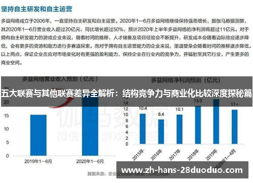 五大联赛与其他联赛差异全解析：结构竞争力与商业化比较深度探秘篇