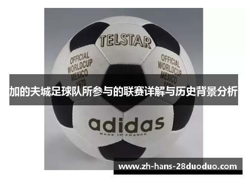 加的夫城足球队所参与的联赛详解与历史背景分析