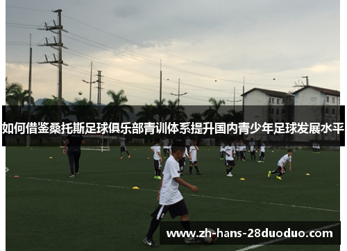 如何借鉴桑托斯足球俱乐部青训体系提升国内青少年足球发展水平