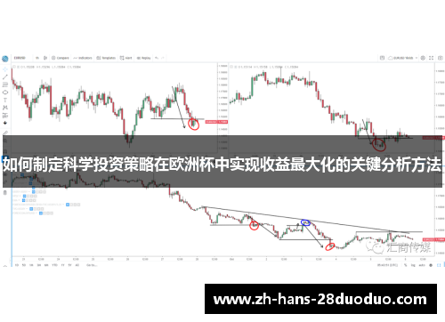 如何制定科学投资策略在欧洲杯中实现收益最大化的关键分析方法