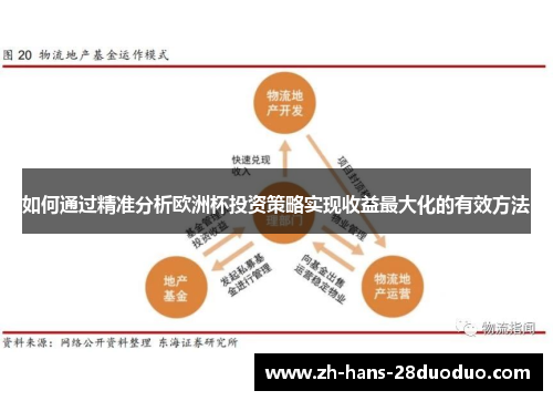 如何通过精准分析欧洲杯投资策略实现收益最大化的有效方法