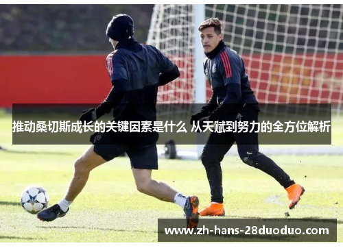 推动桑切斯成长的关键因素是什么 从天赋到努力的全方位解析